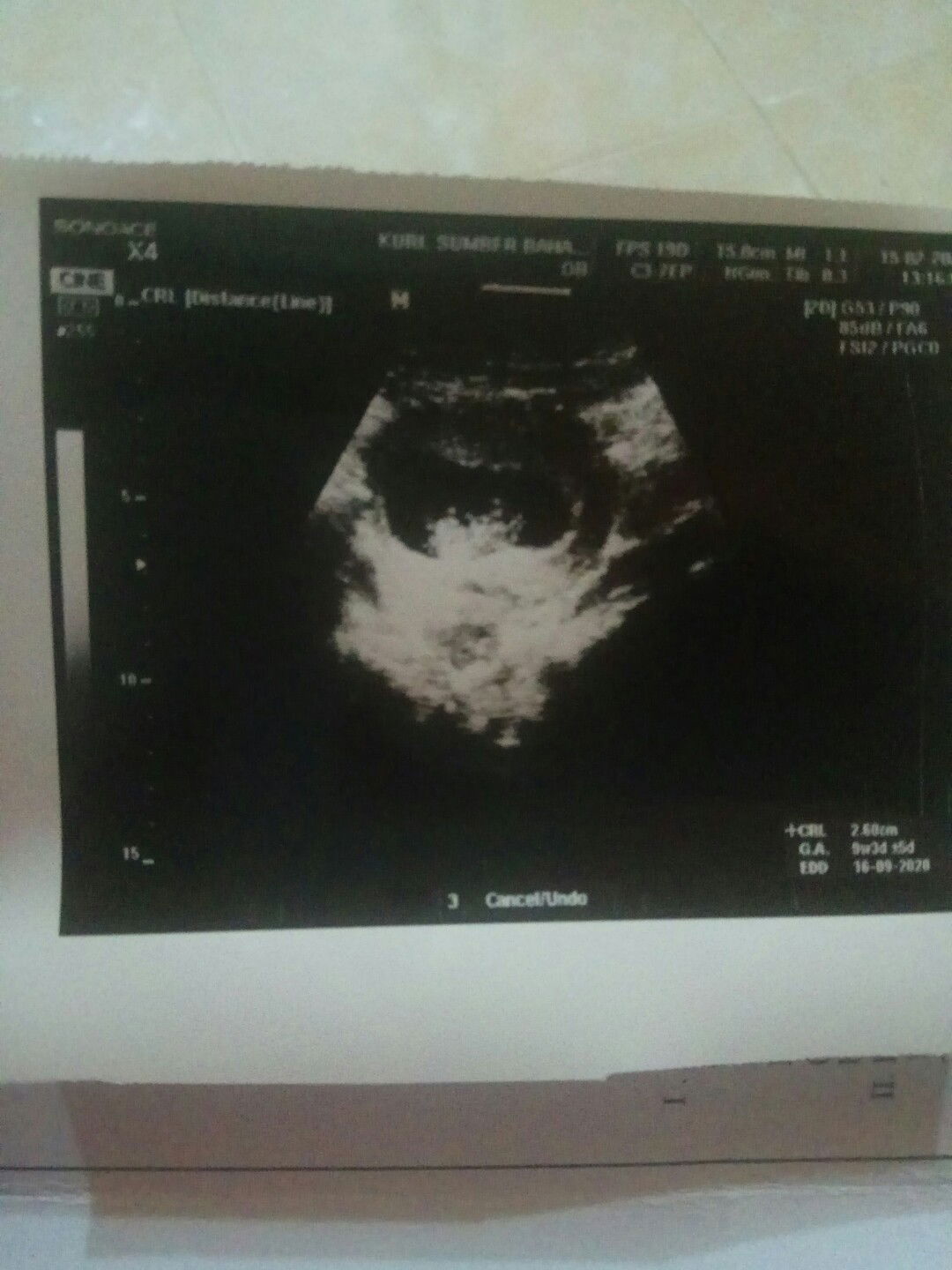 Maria Isabella profile icon