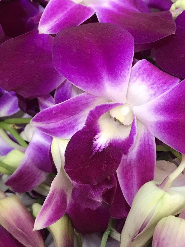 ตะวัน profile icon