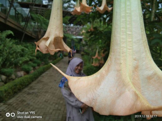 Sindy Dwi profile icon