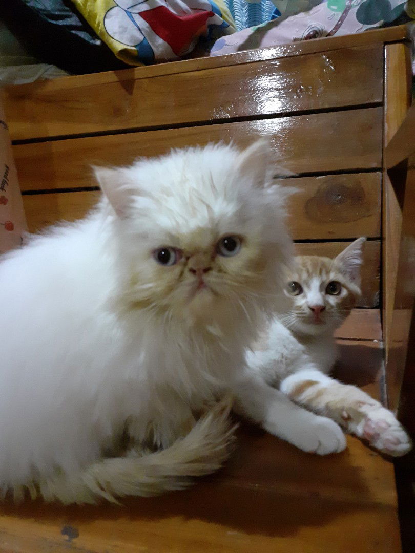 Rodbenz Thitaree profile icon