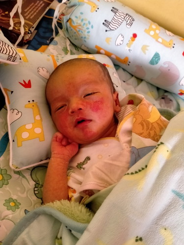 newborn