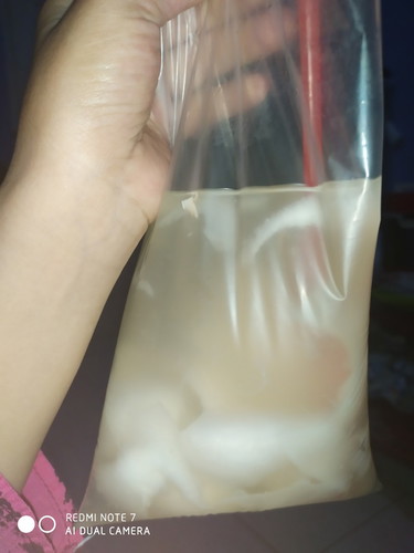 kelapa muda