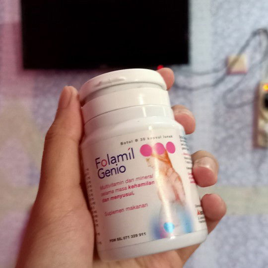 suplemen hamil