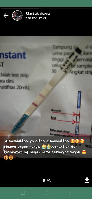 hamil