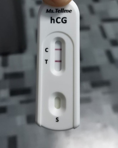 Pregnancy test