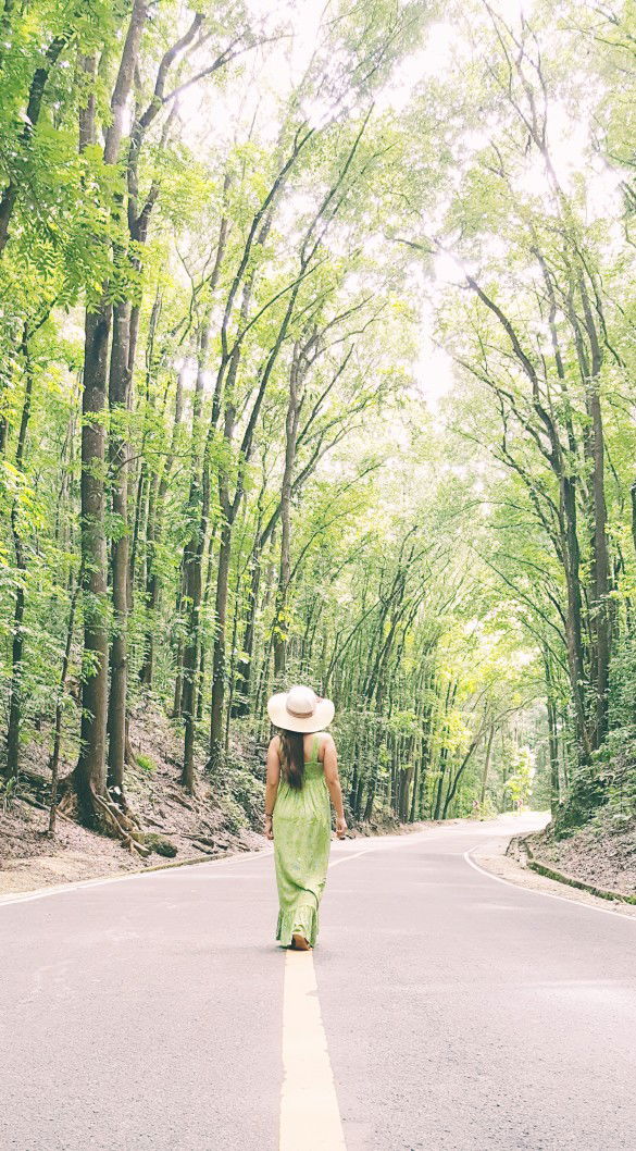 Sunshine profile icon