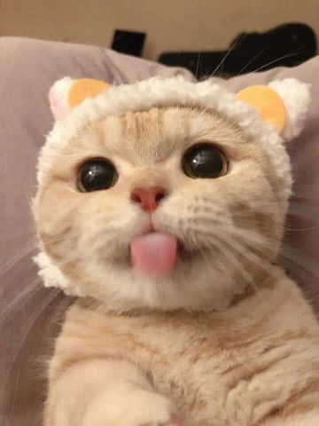 กุสุมา  โคตหานาม profile icon