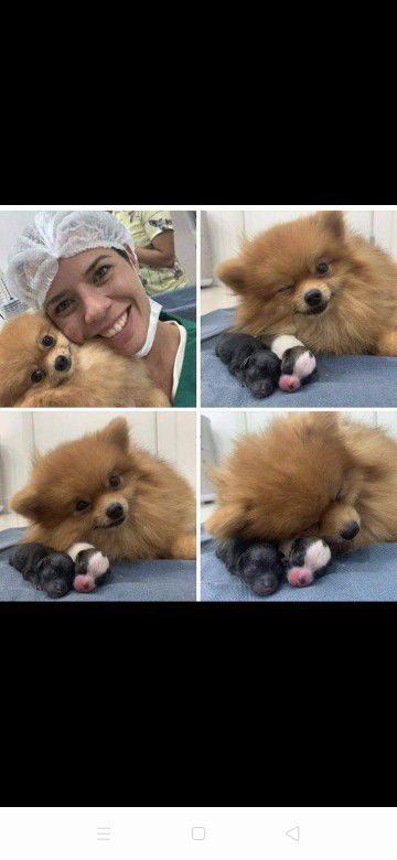 คุณแม่ท้องแรก profile icon