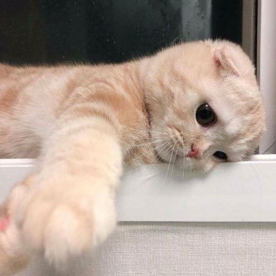 Pawit Setianingsih profile icon