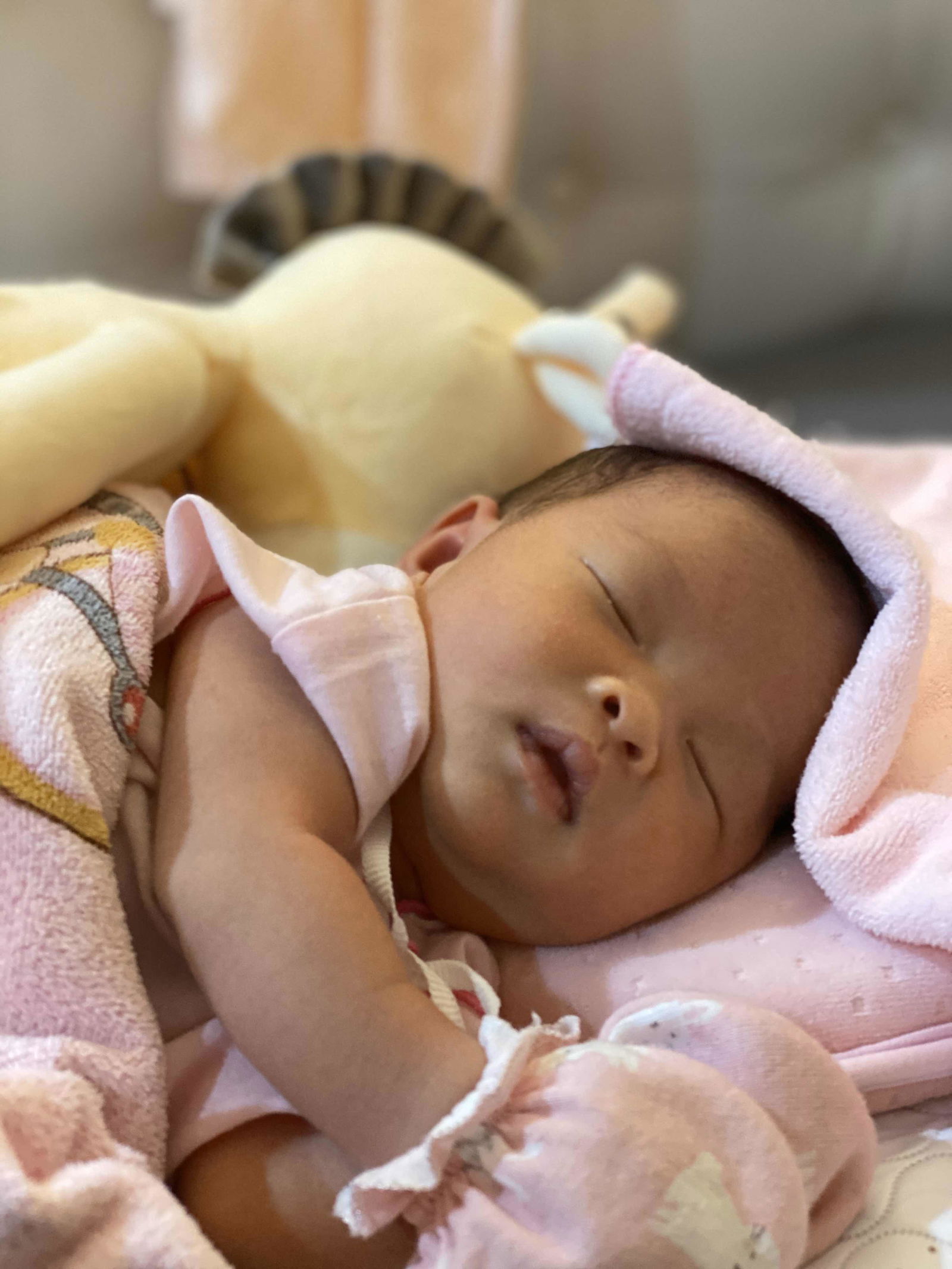 babymiumiu profile icon