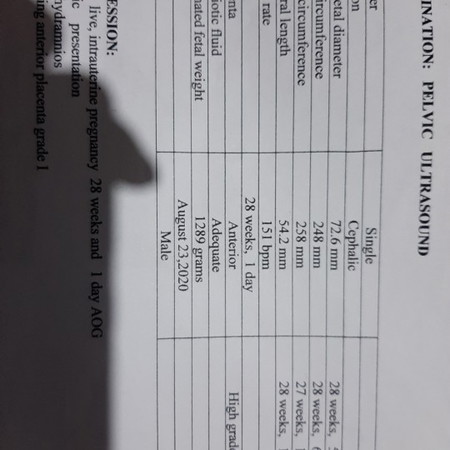 Fetal Weight