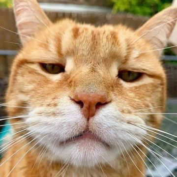 Lã Thị Hằng profile icon