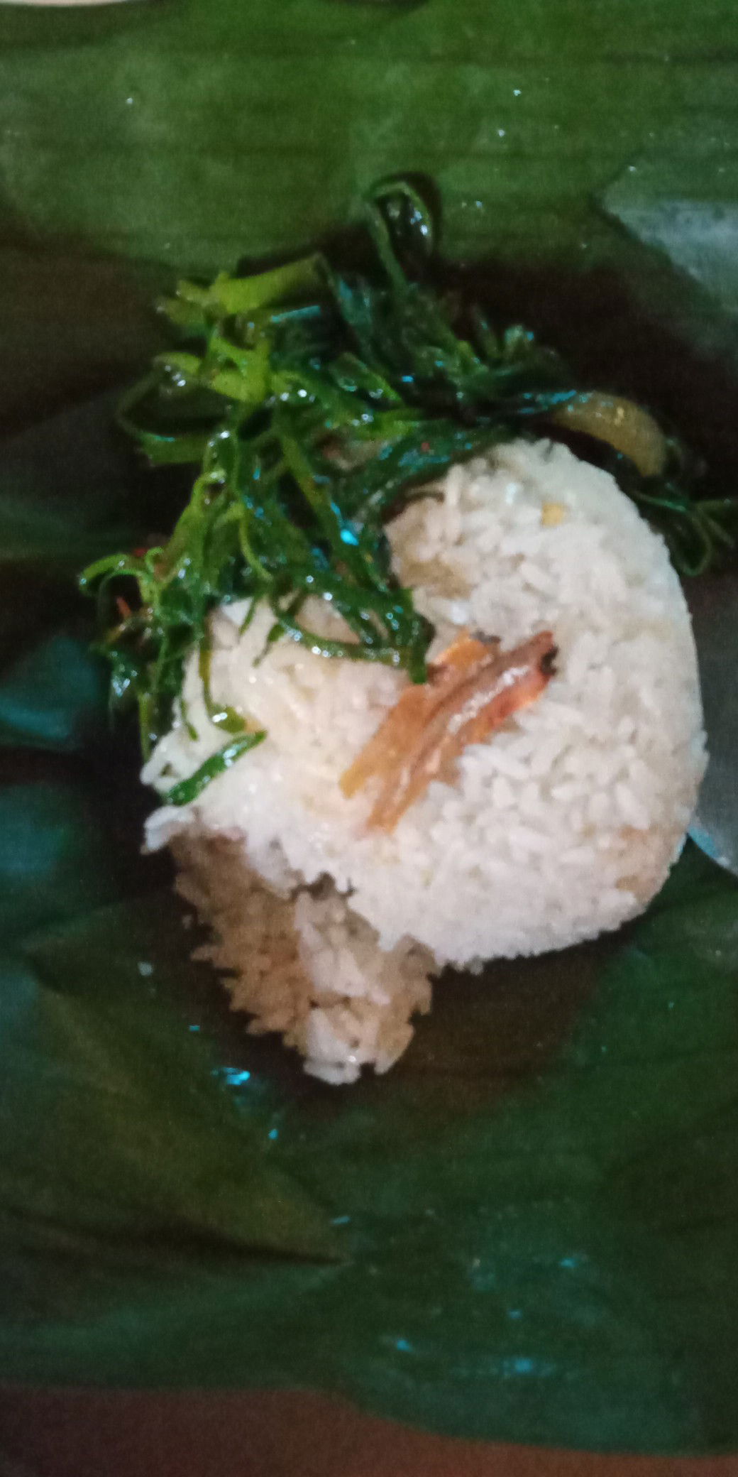 SETIAP HARI MAKAN CAH KANGKUNG