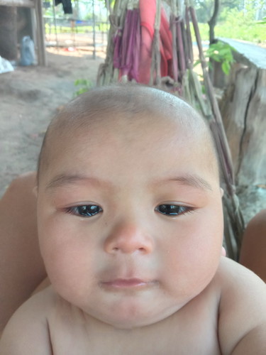 น้องพรรษา