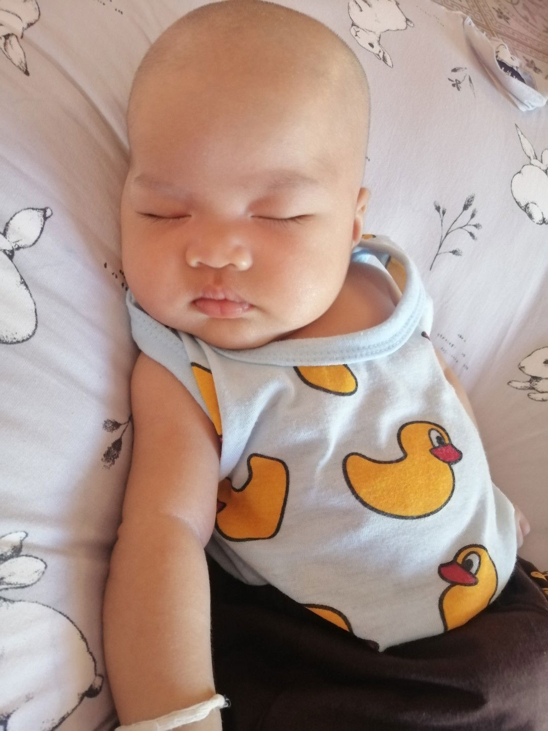 Nattika Meecow profile icon