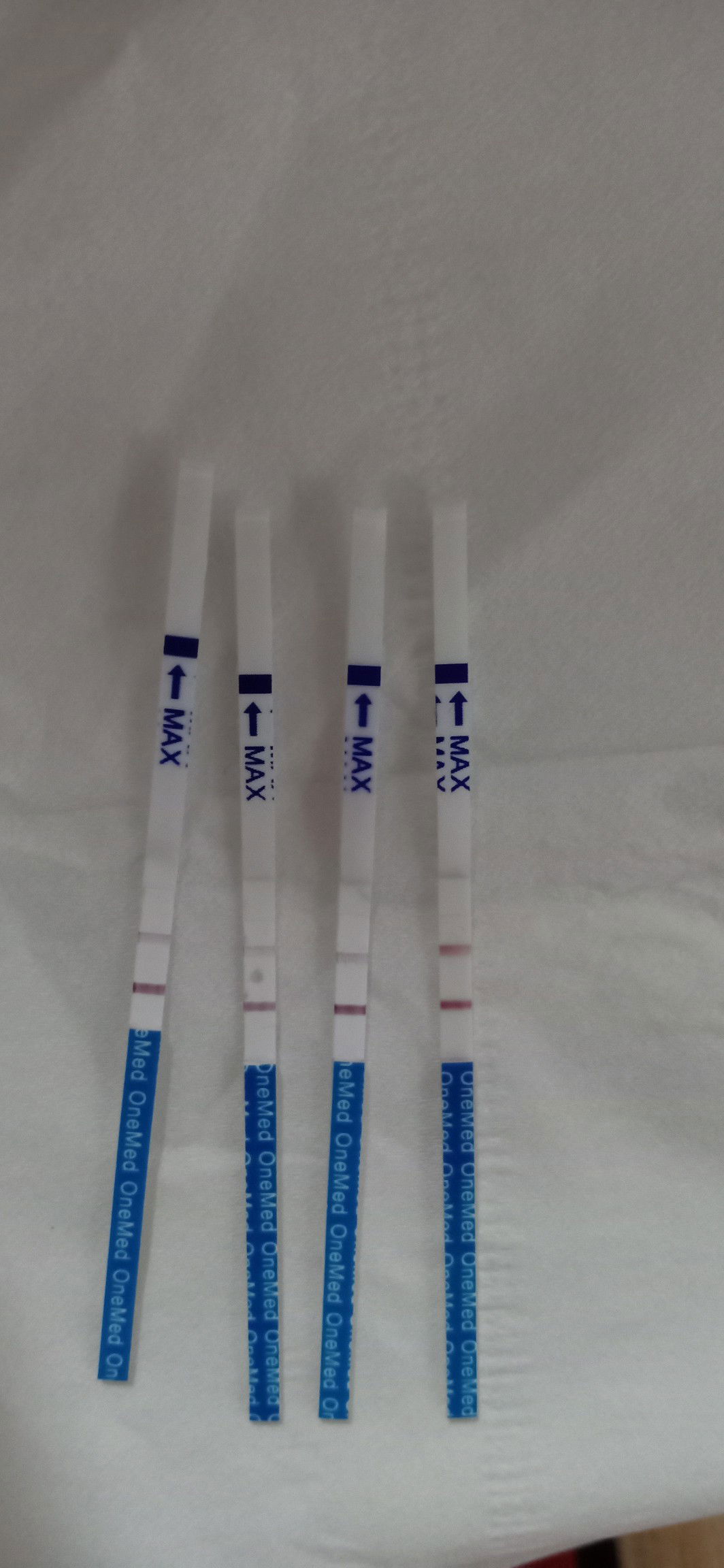 Mohon dijawab ya bun