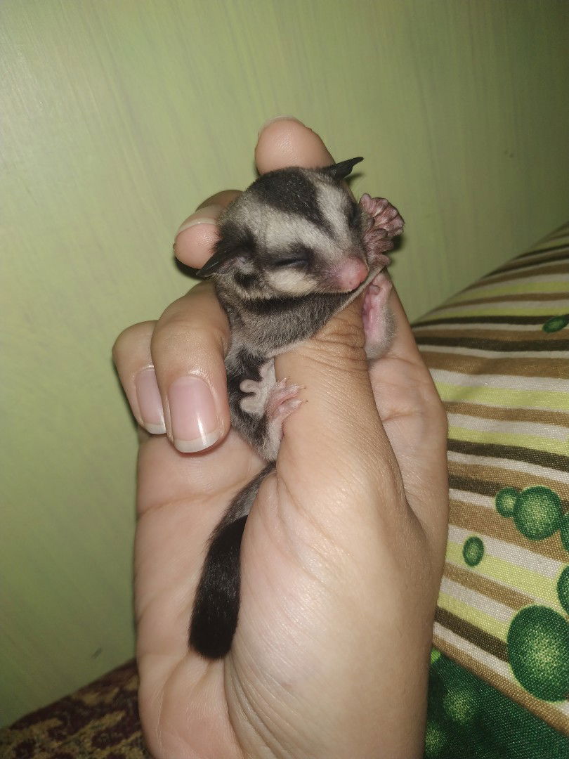 Amalia Aidinna profile icon