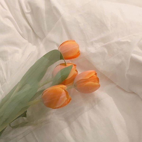 นิคกี้ profile icon