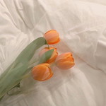 นิคกี้ profile icon