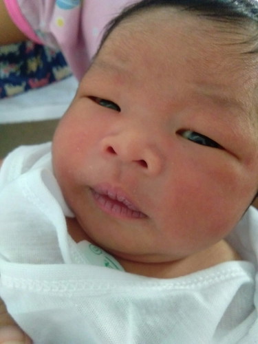 shan andrei