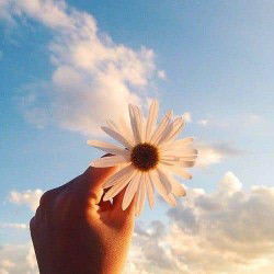 Jam Jam profile icon