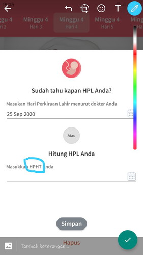 bingung