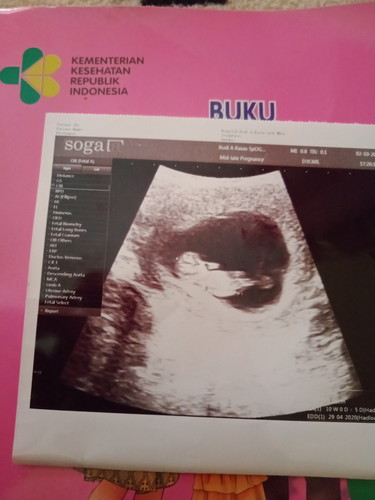 usia kandungn