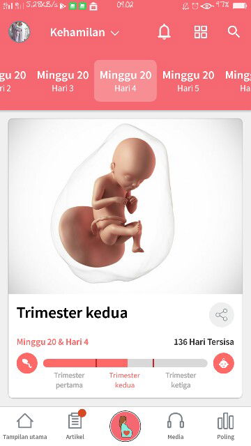 kehamilan