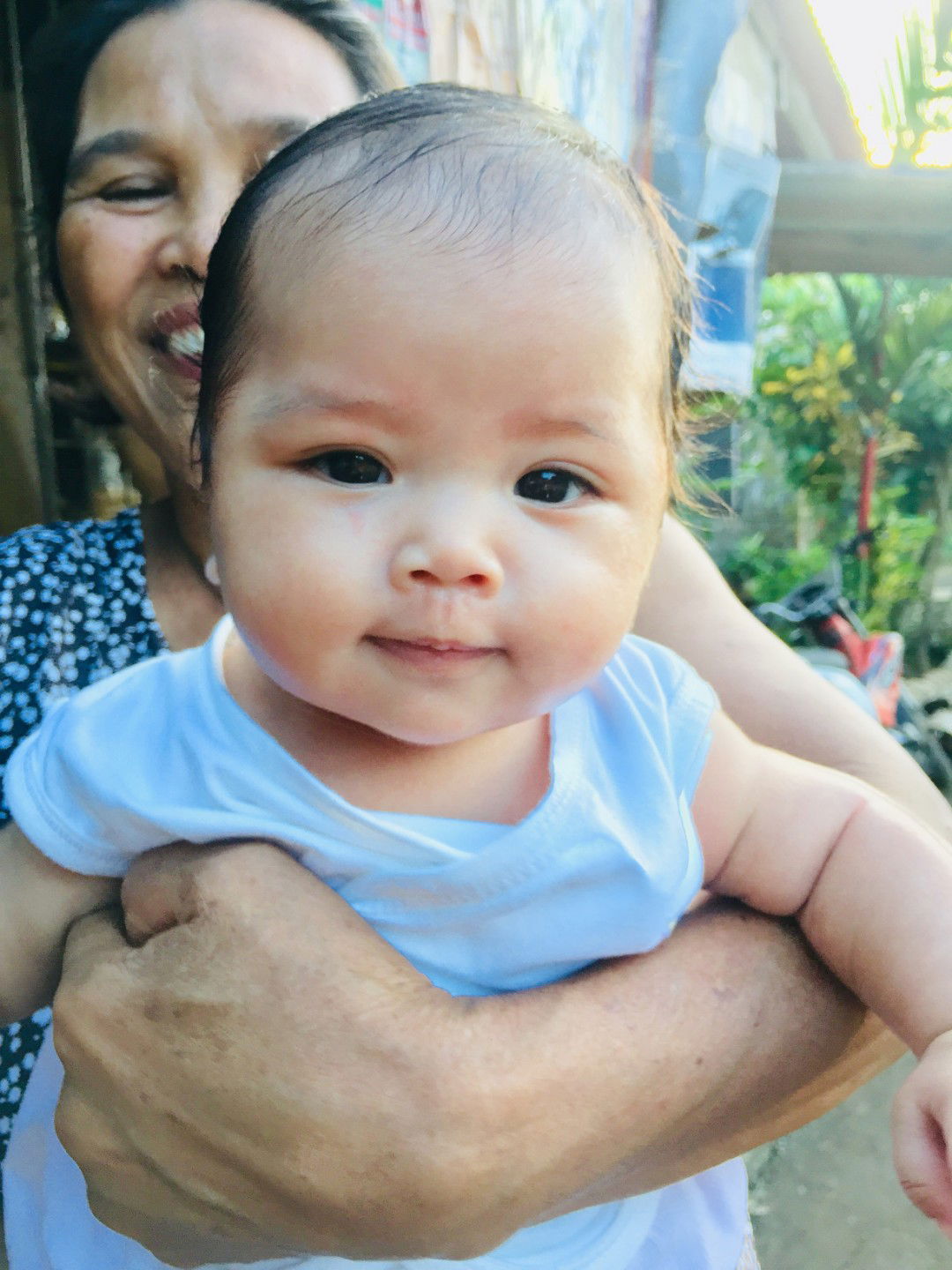 Grezza Rose Ente Toyogon profile icon