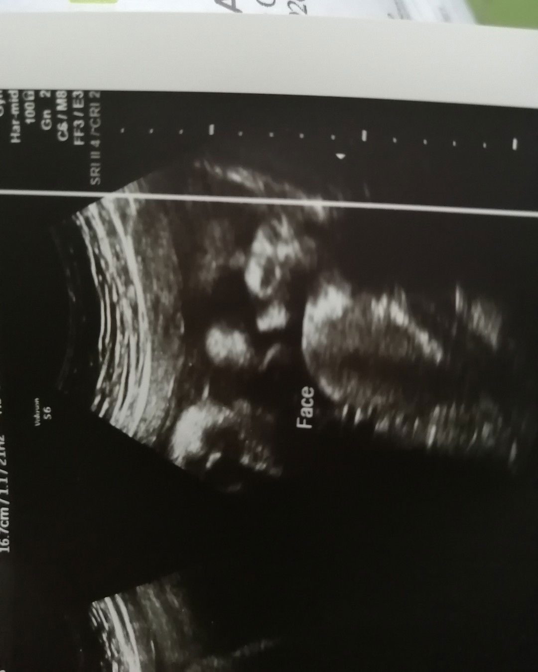 Ettexor profile icon