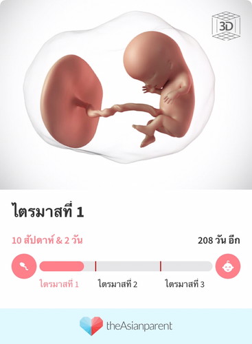 ทีมเดือน พฤศจิกายน