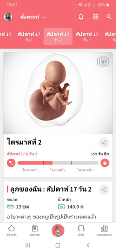 ท้องแรกลูกดิ้นกี่เดือน