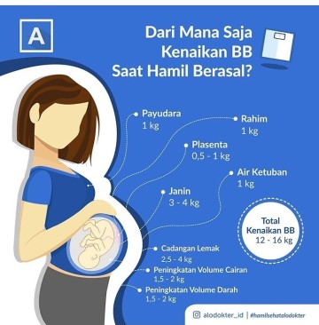 Berat Badan