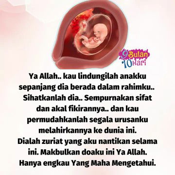 Shaaaaa profile icon