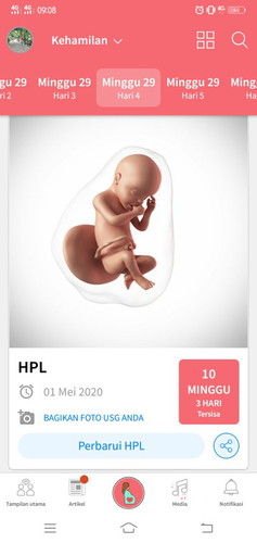 hpl awal mei