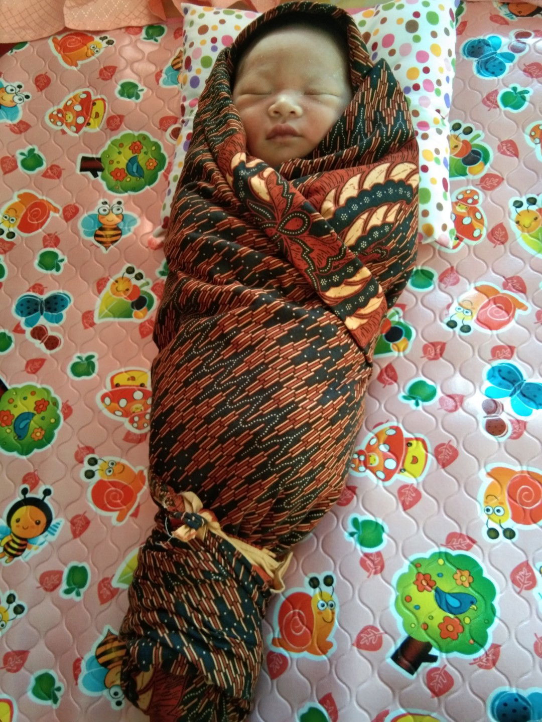 hpl 4 mei 2020 tp lahir 23 april 2020