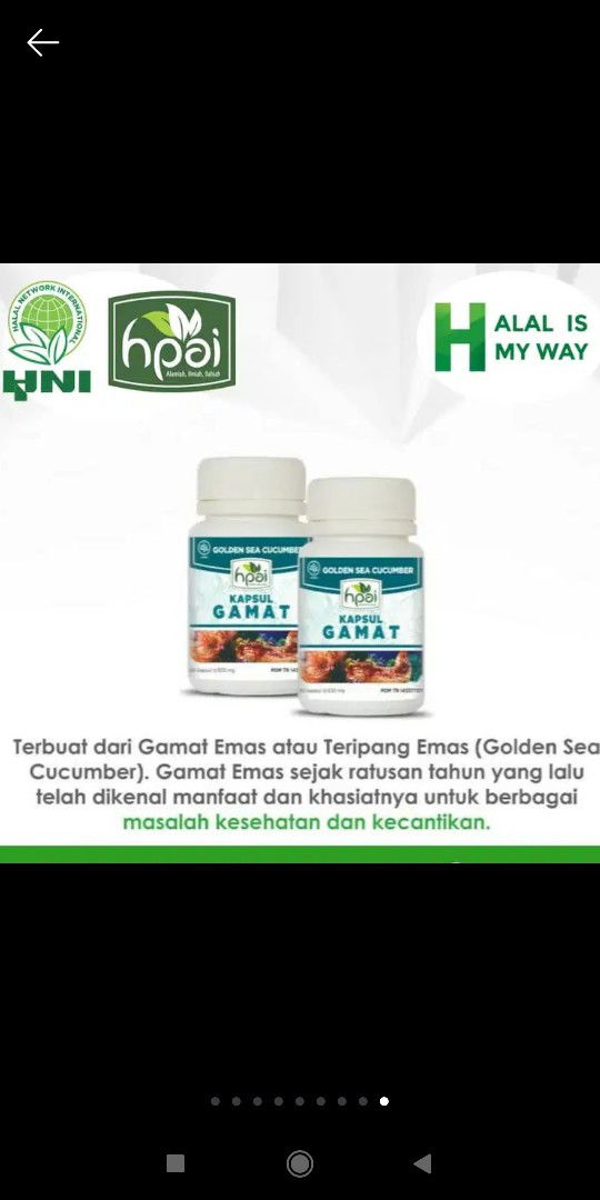 konsumsi kapsul gamat