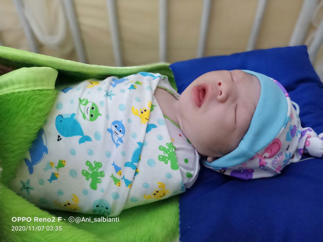 Ani Salbianti profile icon