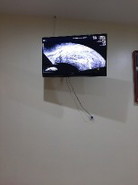 twntang awal kehamilan