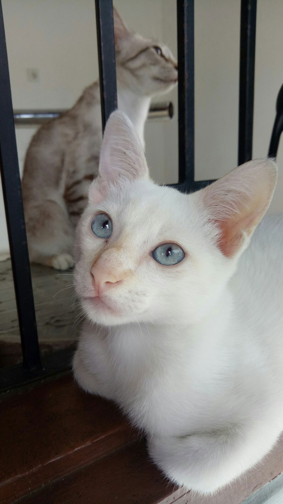 Yolanda Kartika profile icon