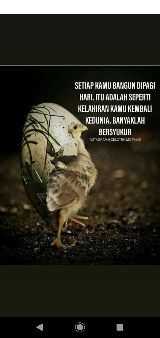 Reny Sugito profile icon