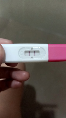 ในรูปนี้ไข่ตกหรือยังคะ