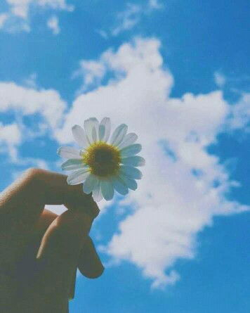 sri umairoh profile icon