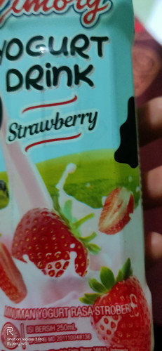 yogourt untuk ibu hamil