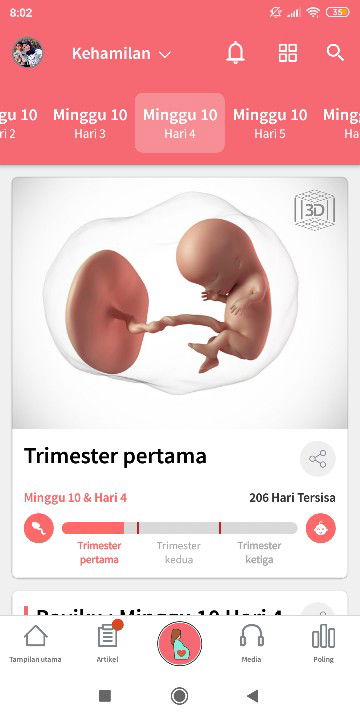 kehamilan usia 10 minggu