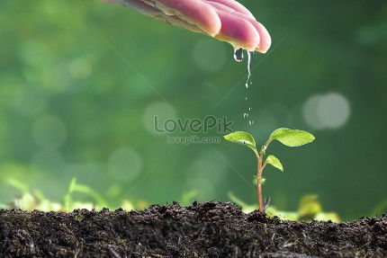 thuy thuy profile icon