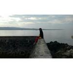 Nahla Istiqa Irwan profile icon