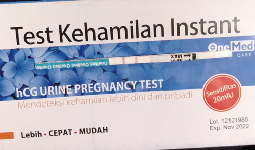 hasil usg