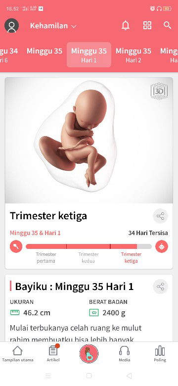 sakit di bagian bawah perut