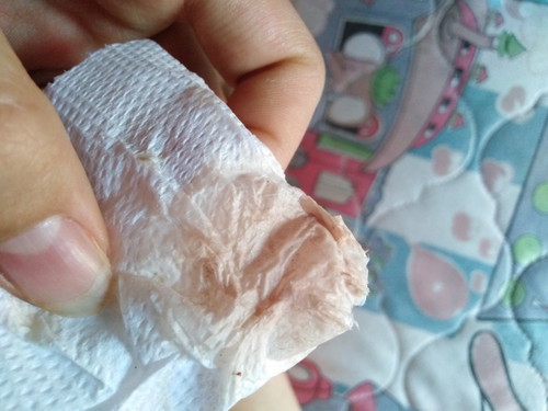 ใช่เลือดหรือป่าว